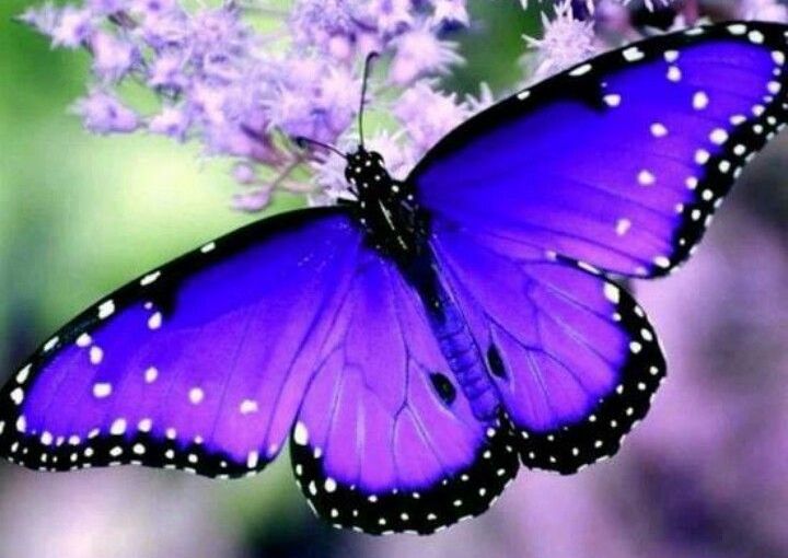 To cry for something&nbsp;beautiful.