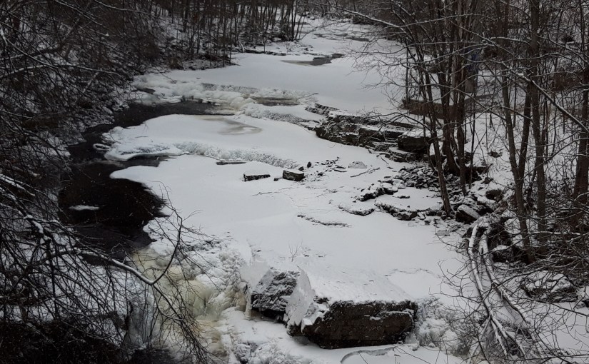 We must Show LOVE and&nbsp;CARE.