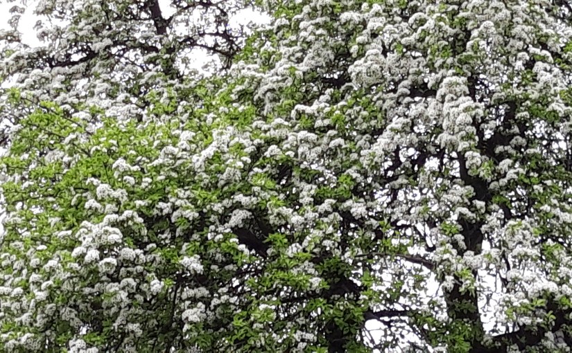 When things turns around&nbsp;🤩