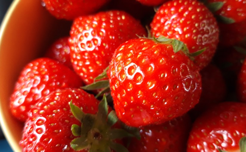 A greeting of May&nbsp;17th.