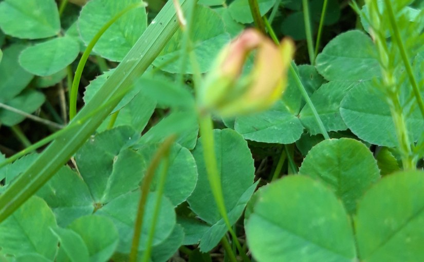 Please let me&nbsp;not…