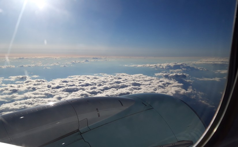 The passport story&nbsp;2022.