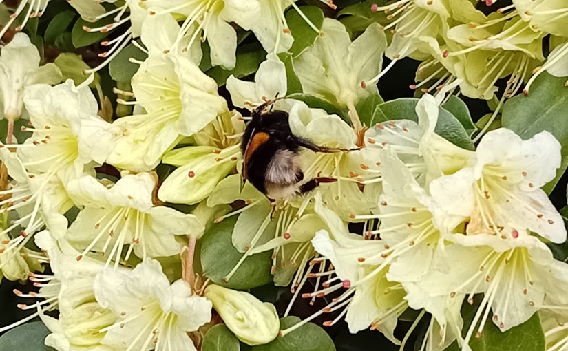 The Lord is blessing my life in so many ways right&nbsp;now!