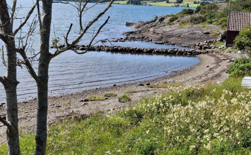 Summer break 2025. Adventure and exploring my&nbsp;neighbourhood.