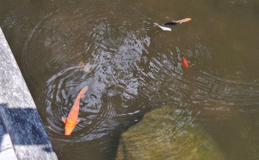 Summer break 2025. Adventure. Part 4 of 7&nbsp;days.