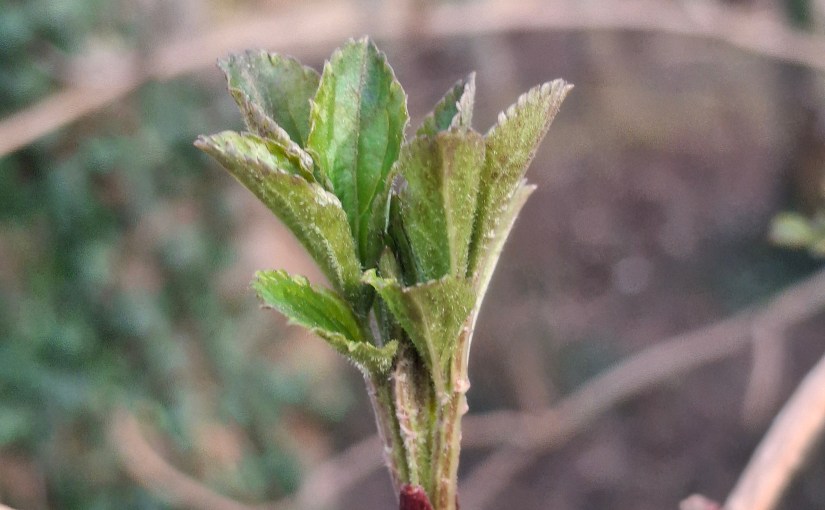 Peaceful and good harmony, Thankful are my words for my new home. The door God, Heavenly Father open up for me in my stressed life situation in&nbsp;March-26.